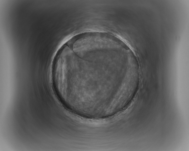 X0000113050008200909171550