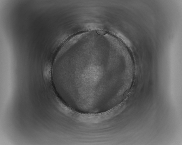 X0000113050009200909171550