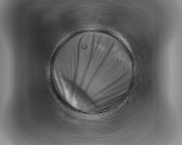 X0000113050010200909171550