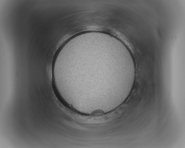 X0000113050011200909171550