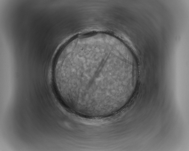 X0000113050012200909171550