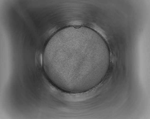 X0000113050013200909171550