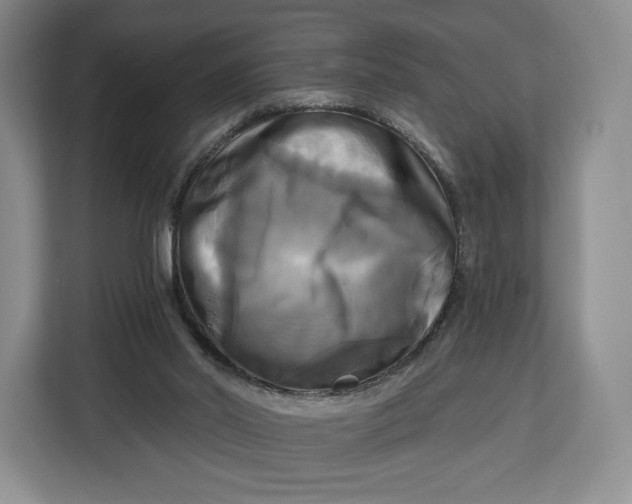 X0000113050014200909171550