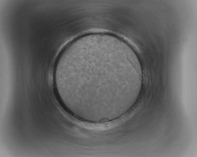 X0000113050015200909171550