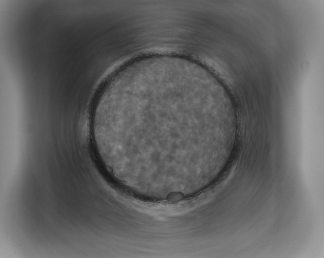X0000113050016200909171550