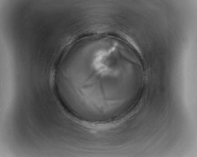 X0000113050018200909171550
