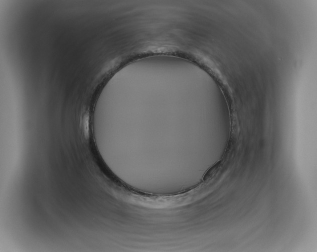 X0000113050019200909171550