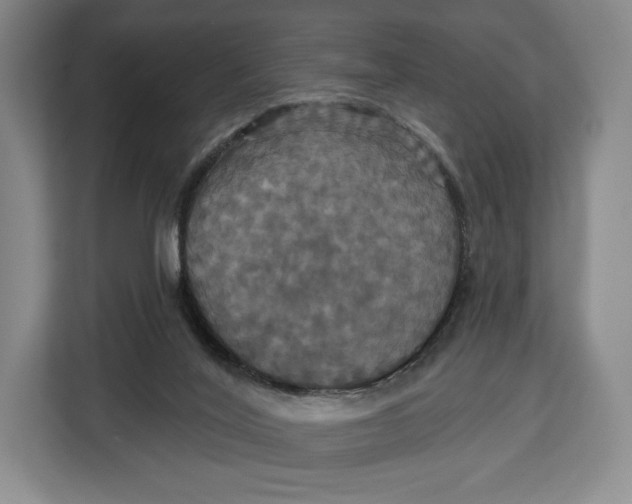 X0000113050020200909171550