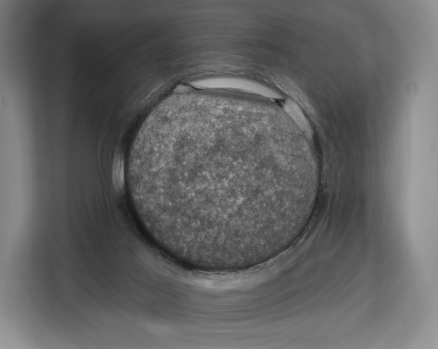 X0000113050021200909171550