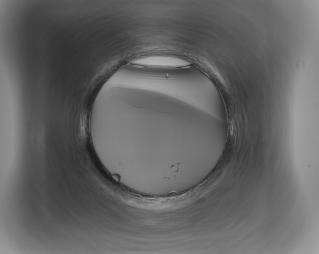 X0000113050023200909171550
