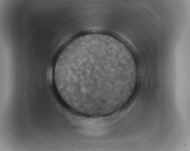 X0000113050024200909171550