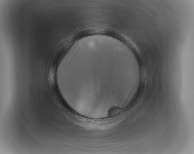 X0000113050026200909171550