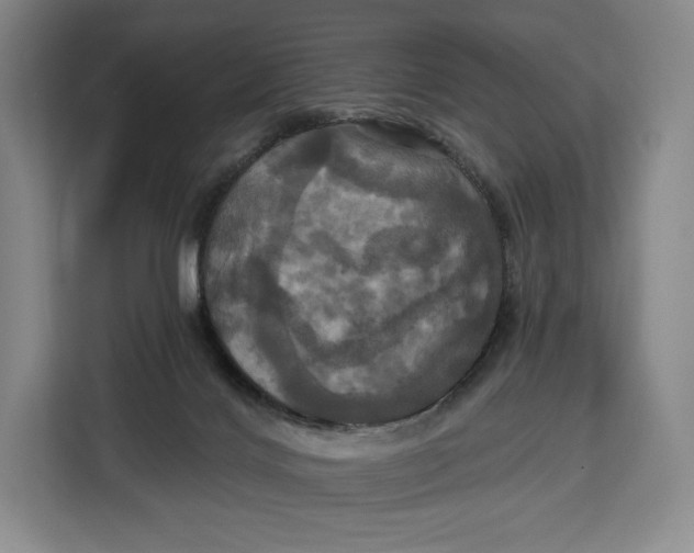 X0000113050028200909171550