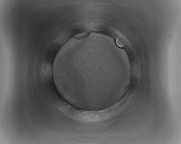 X0000113050029200909171550