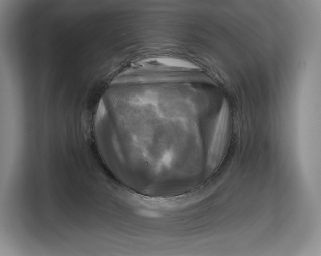 X0000113050030200909171550