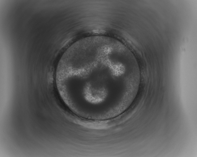 X0000113050032200909171550