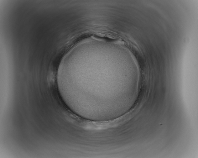 X0000113050033200909171550