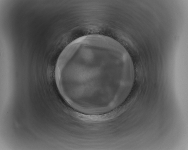 X0000113050034200909171550