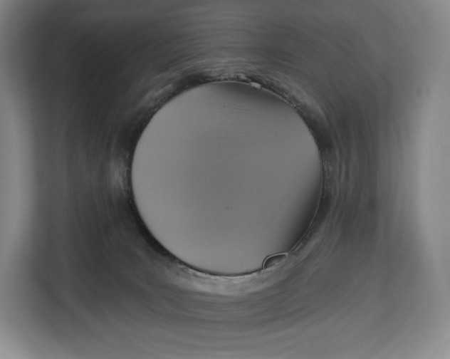 X0000113050035200909171550