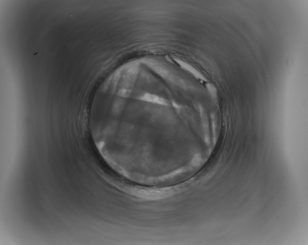 X0000113050036200909171550
