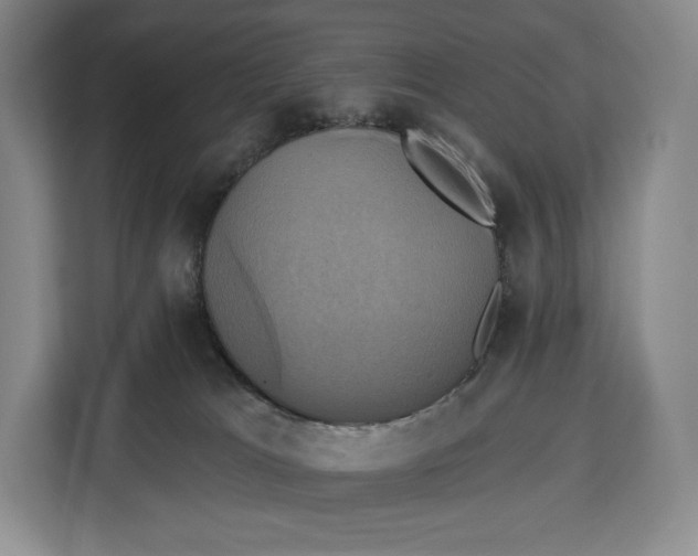 X0000113050037200909171550