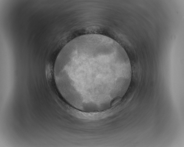 X0000113050038200909171550