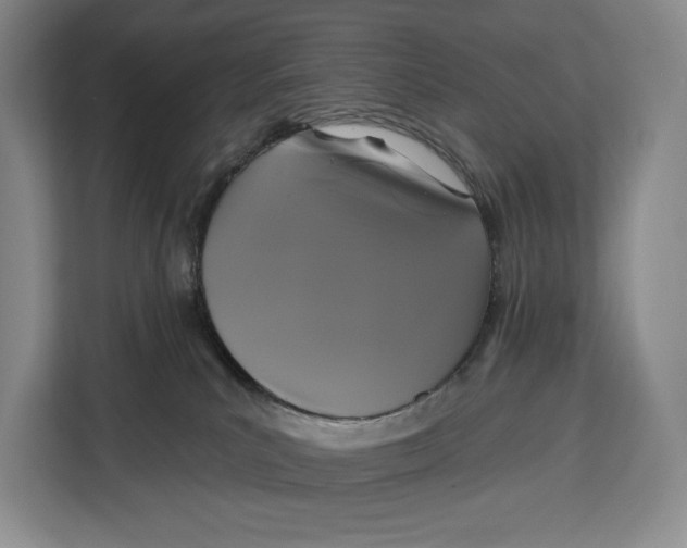 X0000113050039200909171550