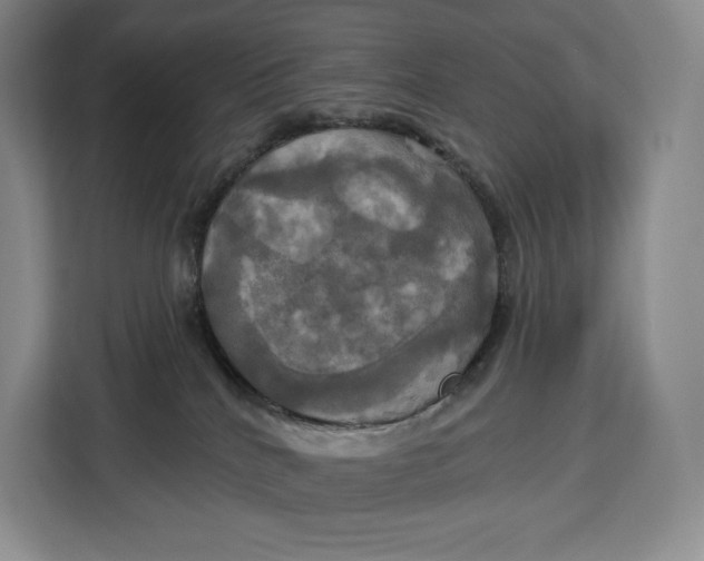 X0000113050040200909171550