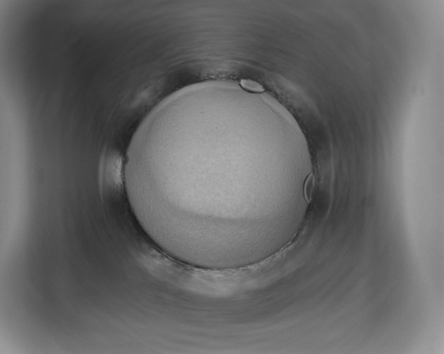 X0000113050041200909171550