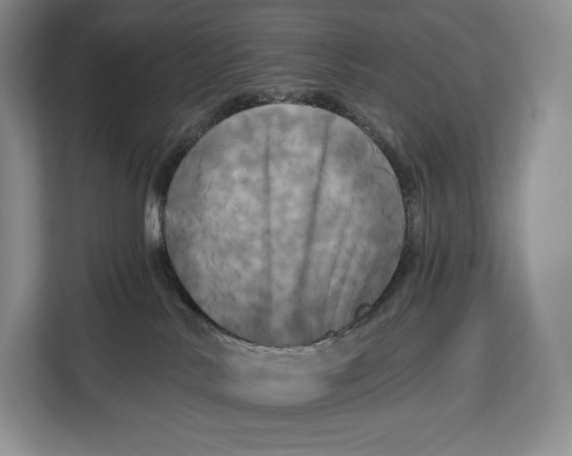 X0000113050042200909171550