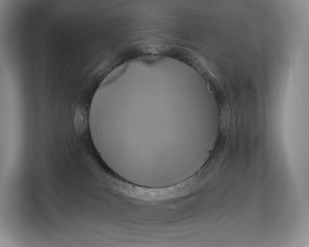 X0000113050043200909171550