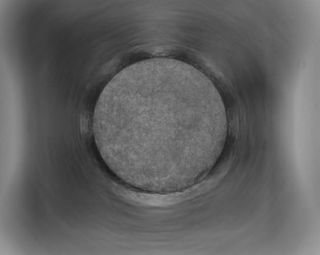 X0000113050044200909171550