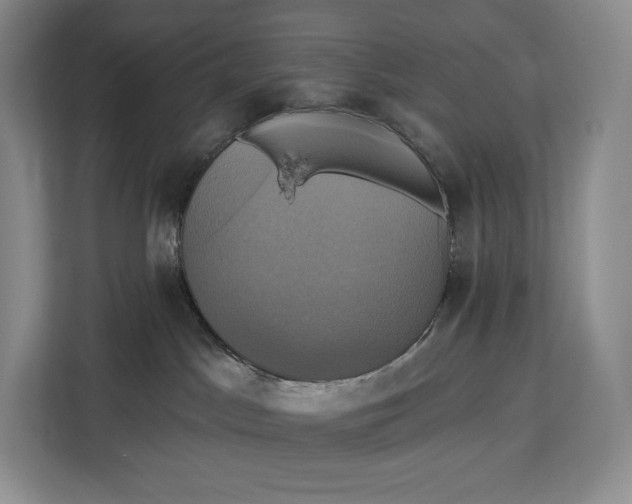 X0000113050045200909171550