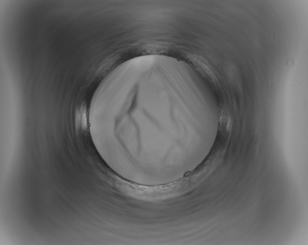 X0000113050046200909171550