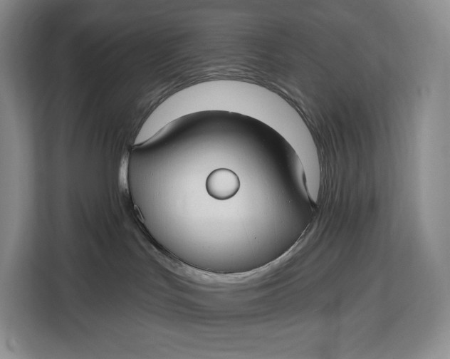 X0000113050047200909171550