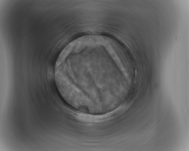 X0000113050048200909171550