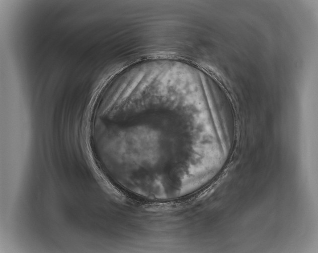 X0000113050049200909171549