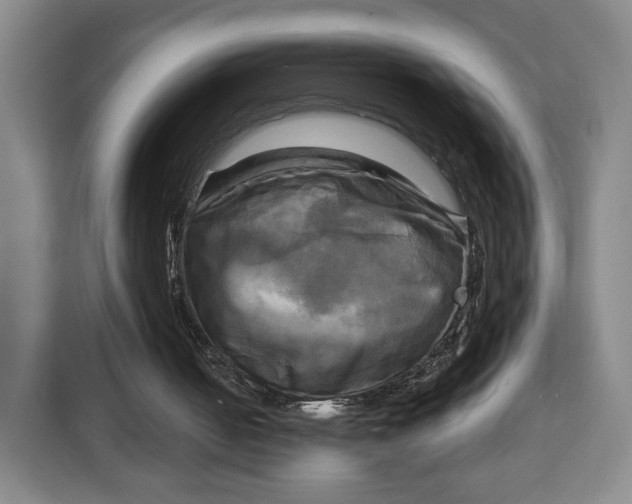 X0000113050050200909171549