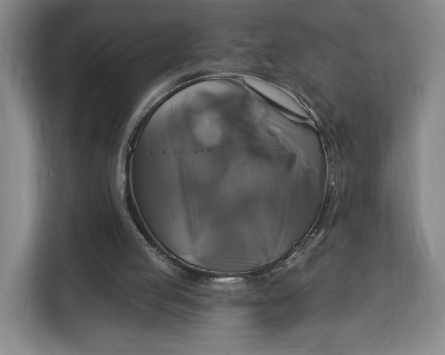 X0000113050053200909171549