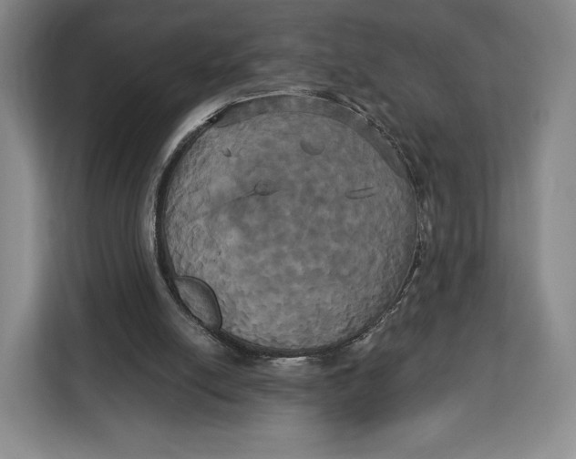 X0000113050054200909171549