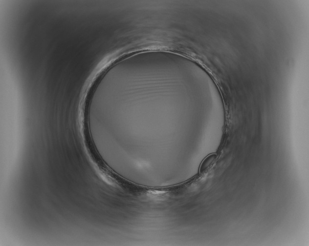 X0000113050055200909171549
