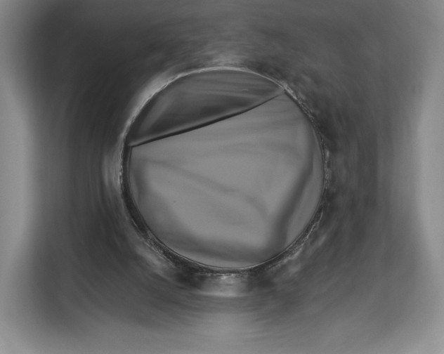 X0000113050056200909171549