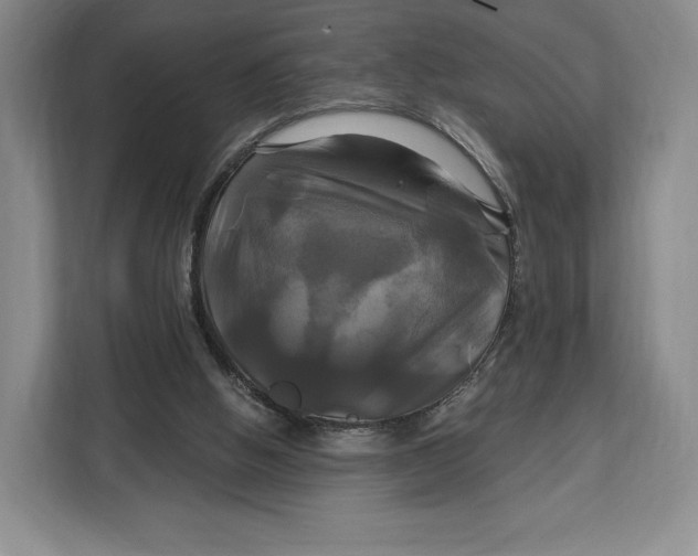 X0000113050058200909171549