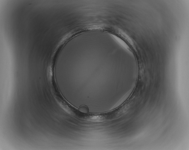 X0000113050059200909171549