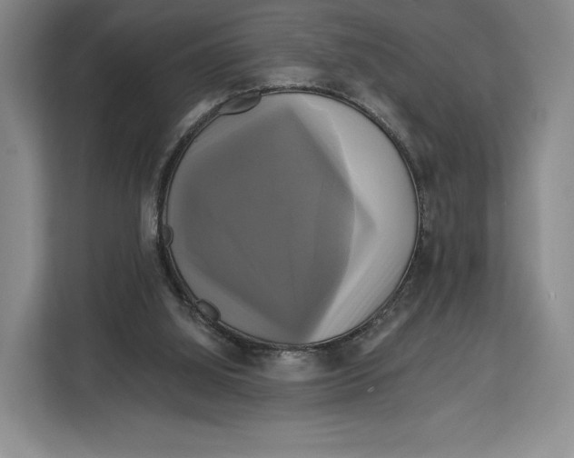 X0000113050060200909171549