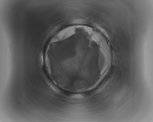 X0000113050061200909171549