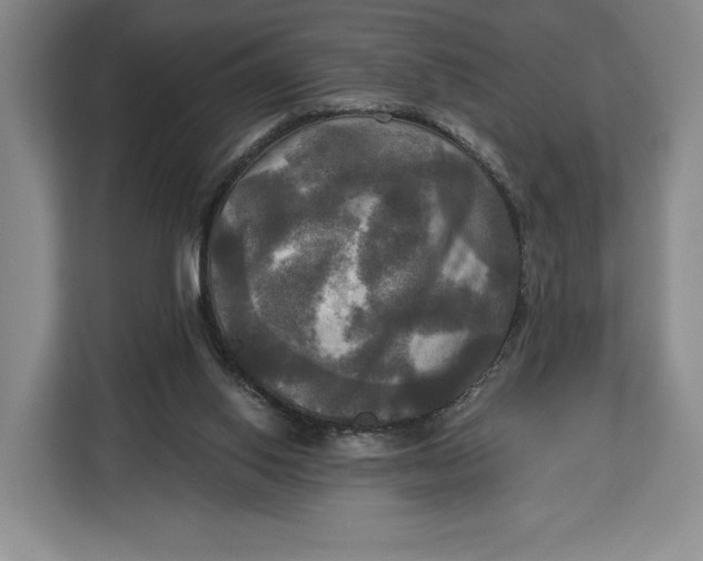 X0000113050062200909171549