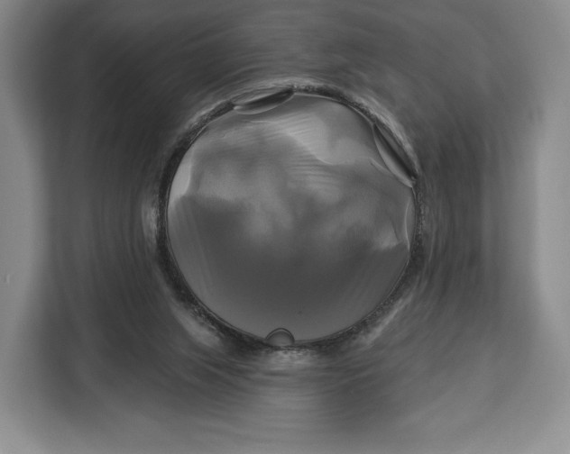 X0000113050063200909171549