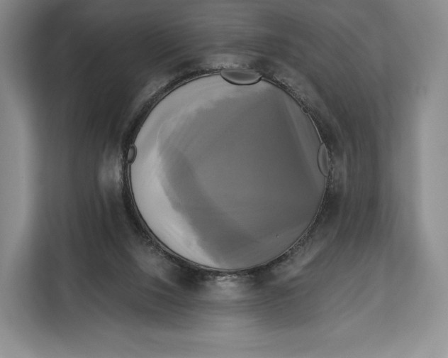 X0000113050064200909171549