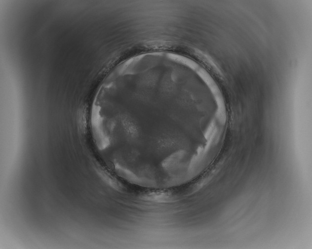 X0000113050065200909171549